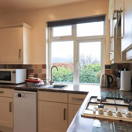 Curlew At Hawkshead *