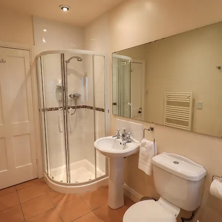 Curlew At Hawkshead Ambleside